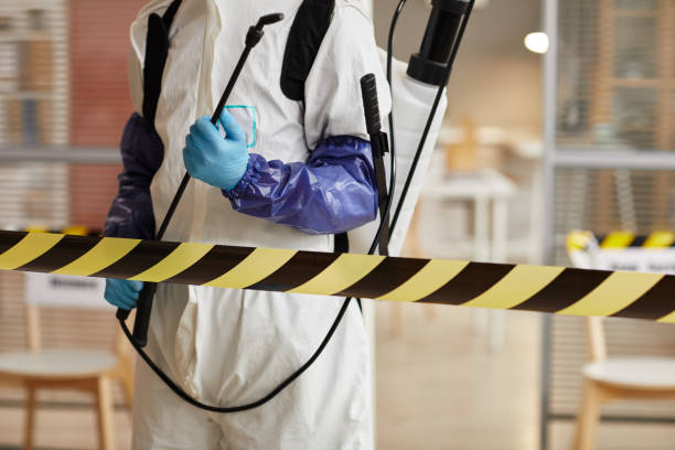 Professional Hoarding Cleanup technician working in Godley, TX